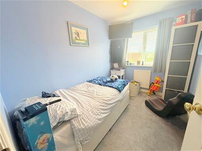 Picture 14